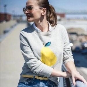 J Crew Womens Size XXS Gray Pear Long Sleeve Wool Rabbit Hair Blend Sweater